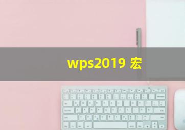 wps2019 宏